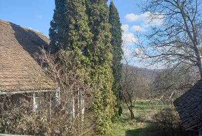 Casa de vacanta - 1