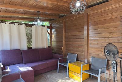Casa parter, renovata, mobilata, gradina amenajata, str Petofi Sandor-Dumbravita - 33