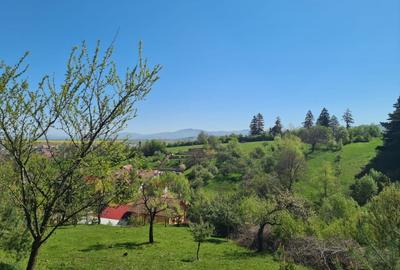 Teren Intravilan pentru Constructii Casa - 3