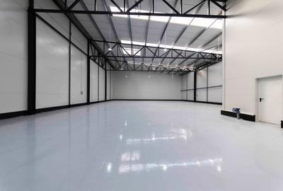 Zona Pallady -Drumul Intre Tarlale - hala noua 574mp - standard ridicat actual - 5