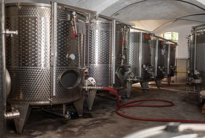 CRAMĂ PREMIUM DE VÂNZARE -60 HA- CONAC ISTORIC- PODGORIA DRĂGĂȘANI - 15