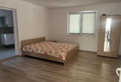 Casa renovata cu teren si anexe in Birtin - 6
