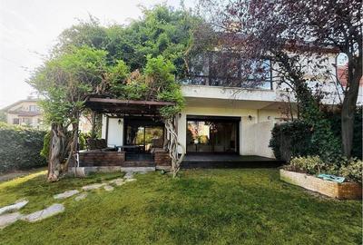Vilă moderna  complex rezidențial Iancu Nicolae - 1