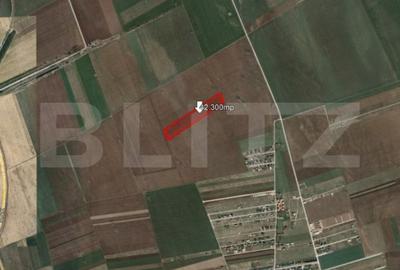 Teren Construcții intravilan de 42300 mp, în Hărman