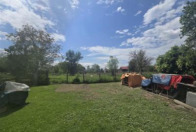 Gospodarie de vanzare in Voila - 9