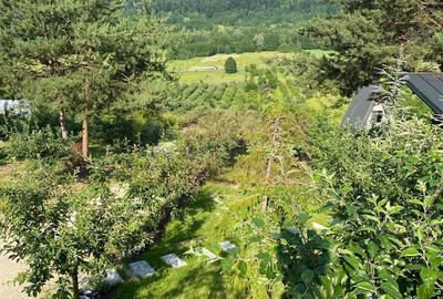 Cabane A frame + Teren 6000 mp |  Proprietate deosebita, NOU - 29