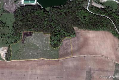 Teren Construcții extravilan de 400000 mp, în Herneacova