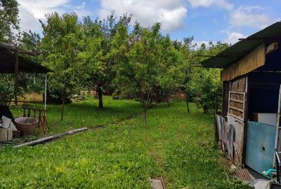 CASĂ DE VÂNZARE 5 CAMERE ÎN OȚELU-ROȘU, \JUD. CS - 22