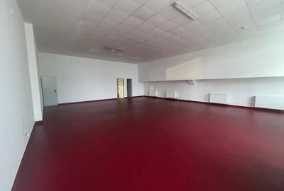 SEMANATOAREA - spatiu parter 840 mp + etaj 226 mp - 13