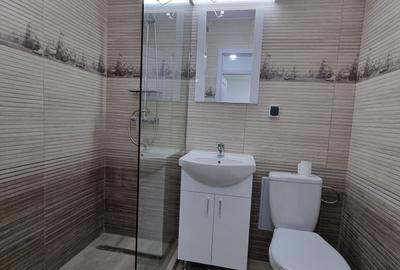 Apartament cu 3 camere de inchiriat in zona Piata Resita - 20