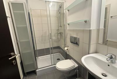 REA1027090 Apartament 3 camere I Iancu Nicolae - 14