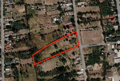 Teren Construcții intravilan de 8300 mp, în Șelaru