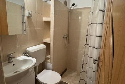Inchiriez apartament 2 camere Piata Dacia - Iulius Mall - 4