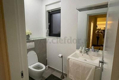 Vila de lux in zona Iancu Nicolae - 9