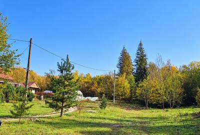 DE VANZARE 5.057 MP TEREN MIXT- MILCOIU, jud VÂLCEA - 3