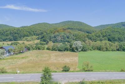Teren de 4.000 mp cu deschidere la DN73A – Cheile Rasnoavei - 6