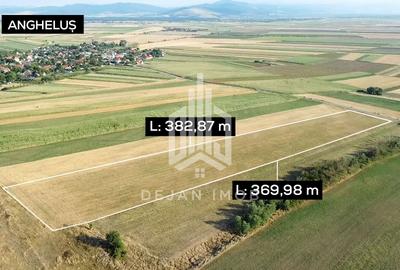 Teren extravilan | 19.000 mp | Ghidfalău - 5