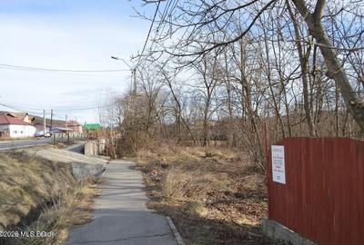 Valea Ursului - DN 7, Teren Stradal 2744 mp - 3