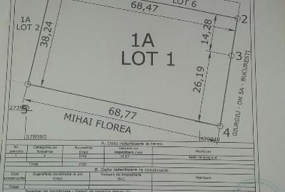 Teren agricol extravilan de 3080 mp, în Frătești