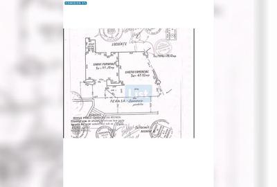 SPATIU COMERCIAL STRADAL - 1