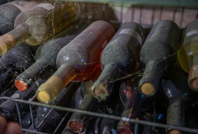 CRAMĂ PREMIUM DE VÂNZARE -60 HA- CONAC ISTORIC- PODGORIA DRĂGĂȘANI - 14