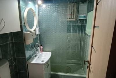 Apartament 3 camere zona Vasile Aaron - 5