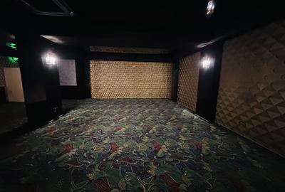 Super spațiu comercial 294,5 mp utili, Tineretului 35 bis, Chiajna - 9