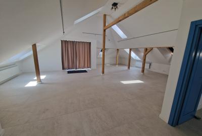 Inchiriez casa in Andrei Muresanu - 10
