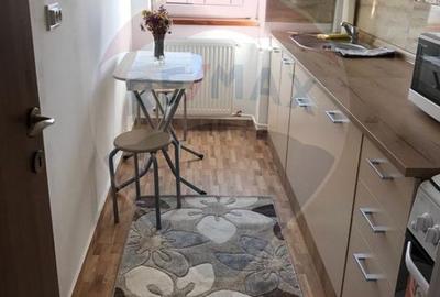 De inchiriat apartament cu 1 camera - Podu Ros - 4