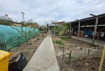 Petricani, strada Steaua Rosie, Lacul Plumbuita, 600 mp, toate utilitatile - 1