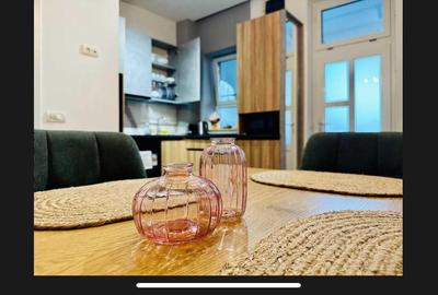 Apartament superb Take Ionescu - 14