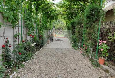 Vanzari Case / vile Giurgiu - 3