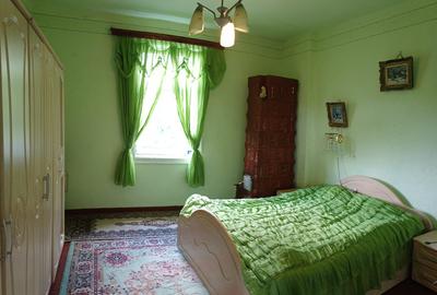 Harsova-CETATEA CARSIUM- casa boiereasca - 7