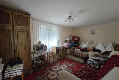 Proprietate de vanzare in Sat Izvoare, com. Bahna, judetul Neamt - 11
