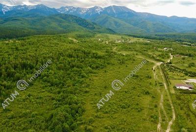 Teren extravilan 2000 mp in Porumbacu de Sus din Sibiu - 3