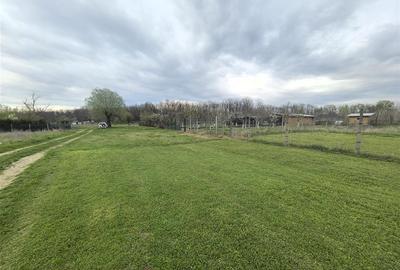 Teren Construcții intravilan de 440 mp, în Vladimirescu