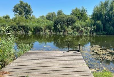 Teren 637mp Silistea Snagovului | Toate Utilitatile | Proprietar - 1