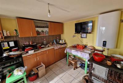 Teren mare cu 2 case in Sabolciu, com. Sacadat - 8