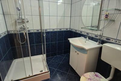 Lacul Tei inchiriere apartament modern de 2 camere Grigore Ionescu-Otesani - 10