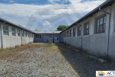 Spatiu industrial de inchiriat in Sebes - 2