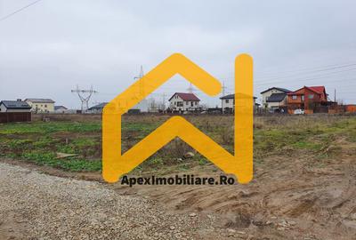 Catelu | Teren 5000MP | Intravilan | 15 Minute Metrou | OPORTUNITATE - 1