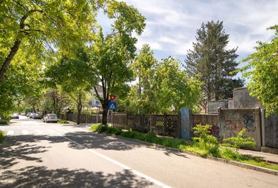 COMISION0% - Teren cu dubla deschidere, 246mp, str. Jimbolia - Bucurestii Noi - 14