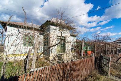 Casa traditionala argeseana – comuna Vedea, jud. Arges - 4