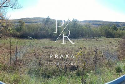 Teren extravilan, 2250 mp, in comuna Vultureni la ieșirea spre Borsa! - 6