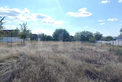 Teren Construcții intravilan de 1528 mp, în Malu Mare