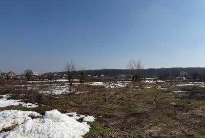 Domnești, teren langa pădure, 420mp, utilități,  deschidere 21ml, intravilan - 5