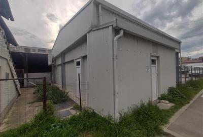 Moldova Noua, Spatiu Comercial - Macelarie, Utilata, Vanzare sau Inchiriere - 14