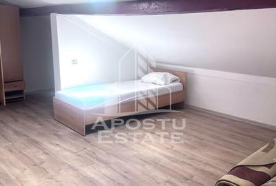 Apartament 1 camera,mansarda, de inchiriat, zona Dambovita,Timisoara - 3