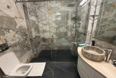 Apartament la casa - 105 mp - 3 camere - garaj - Ultracentral - 11
