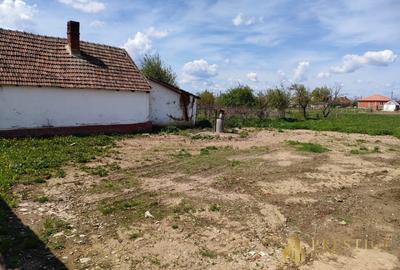 Teren intravilan cu proiect de casa de vanzare in Tarian - Bihor - 2